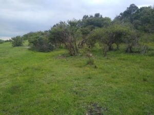 Terreno en venta, Peña Colorada, Villa Nicolas Romero; Estado de México