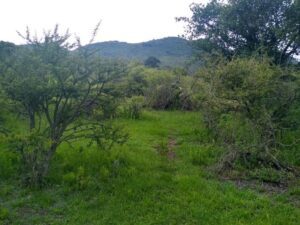 Terreno en venta, Peña Colorada, Villa Nicolas Romero; Estado de México