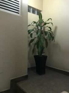 Departamento en venta, San Jerónimo, Tihuatlán 13; Magdalena Contreras, CDMX