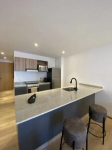 Departamento en venta, Ampliación los Alpes, Álvaro Obregón, CDMX